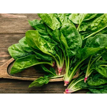 Spinach (26)-841996-95925.webp